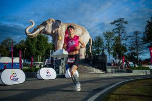 BIB: 
                            <button type="button" onclick="openModal(26541552)" class="btn btn-primary btn-sm float-right btn-popup" data-toggle="modal" data-target=".modal-high-quality">
                        <i class="fas fa-shopping-cart"></i> Add to Cart
                    </button>
                                            <button type="button" onclick="isThisMe(26541552, true)" class="btn btn-success btn-sm float-right btn-popup btn-isme hidden" data-toggle="tooltip" data-placement="bottom" title="นี่คือรูปของคุณใช่ไหม คลิกที่นี่เพื่อเอาเข้าอัลบั้ม">
                        <i class="fas fa-plus"></i> Add to album
                    </button>
                    <button type="button" onclick="isThisMe(26541552, false)" class="btn btn-warning btn-sm float-right btn-popup btn-isnotme hidden">
                        <i class="fas fa-ban"></i> Remove from album
                    </button>